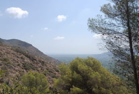 Pego 3696&nbsp;m² 