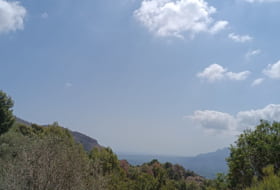 Pego 3696&nbsp;m² 