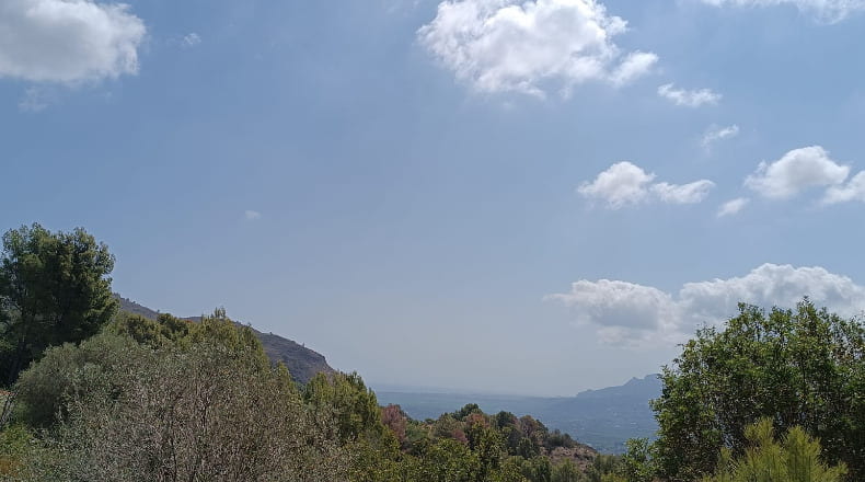 Alicante - Pego - 3696m2