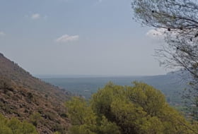 Pego 3696&nbsp;m² 