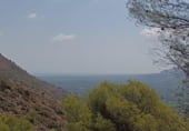 Parcel·la urbanitzable en venda a la Camí del Carritxar, Pego, ref.: TR108936 foto