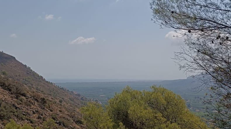 Alicante - Pego - 3696m2