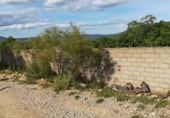 Terreno con Ruinas en venta en la Calle Guzmán El Bueno, Sorihuela del Guadalimar, ref: TR108933 foto