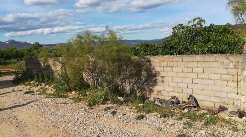 Jaén - Sorihuela del Guadalimar - 400m2