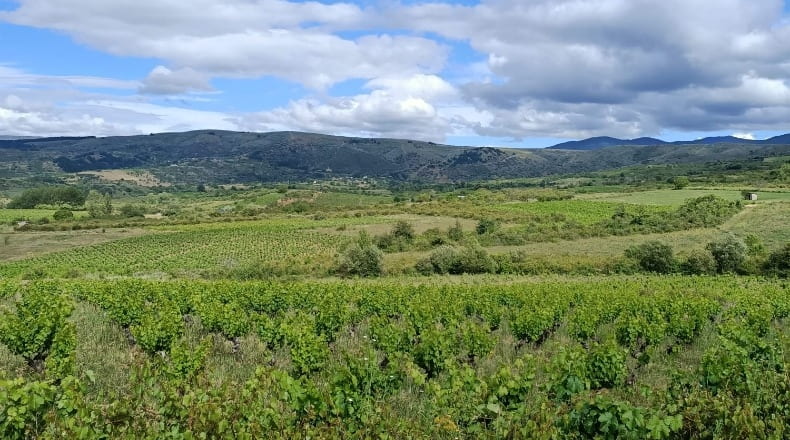 León - Ponferrada - 9585m2