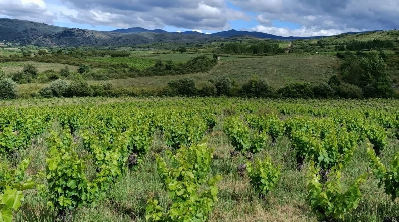 León - Ponferrada - 9585m2