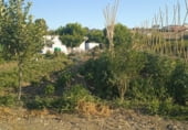 Finca rústica en venda a la parcela 107 la juntilla, Coín, ref.: TR108984 foto