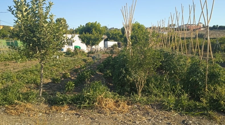 Málaga - Coín - 2400m2