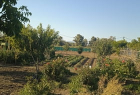 Foto 17