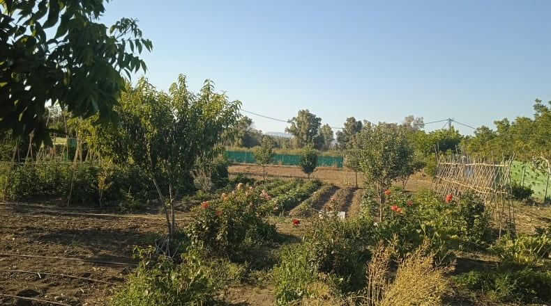 Málaga - Coín - 2400m2