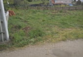 Land suitable for development for sale on Lugar o Sobral 17, Santo André de Xeve, ref: TR108996 photo