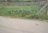 Land suitable for development for sale on Lugar o Sobral 17, Santo André de Xeve, ref: TR108996 photo