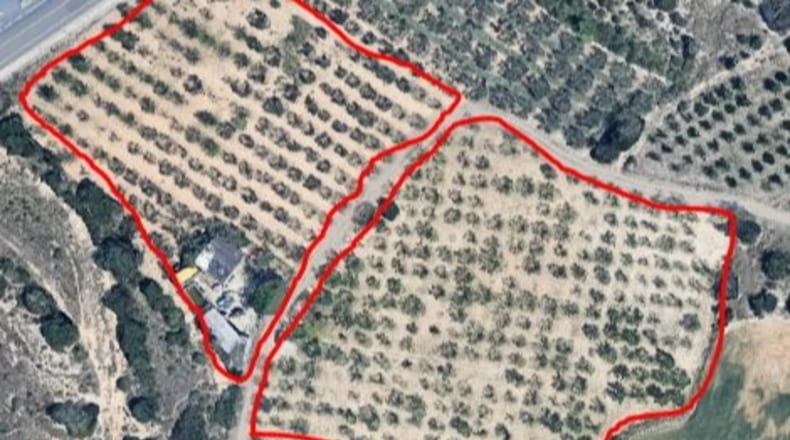 Tarragona - Constantí - 16000m2