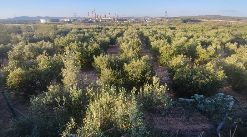 Tarragona - Constantí - 16000m2
