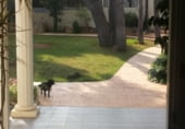 Detached villa with land for sale on Picassent, ref: TR109122 photo