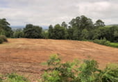 Terreno no urbanizable en venta en la Ramonde, Cuíña, ref: TR109129 foto