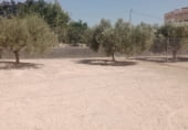 Terreno no urbanizable en alquiler en la Residencial Don Balbino, Elche, ref: TR109142 foto
