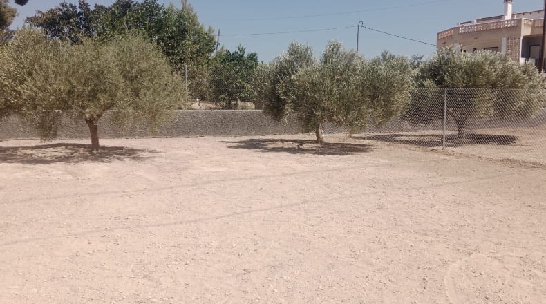 Alicante - Elche - 250m2