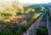 Non-developable land for sale on PARCELA 130, Villanueva de la Concepción, ref: TR109140 photo