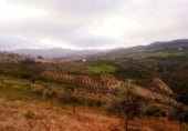 Non-developable land for sale on PARCELA 130, Villanueva de la Concepción, ref: TR109140 photo