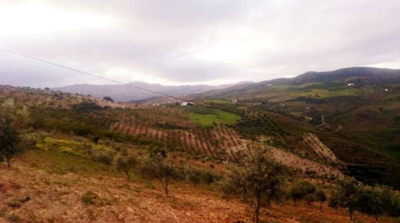 Málaga - Villanueva de la Concepción - 18000m2