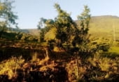 Non-developable land for sale on PARCELA 130, Villanueva de la Concepción, ref: TR109140 photo