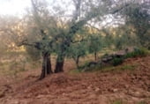 Non-developable land for sale on PARCELA 130, Villanueva de la Concepción, ref: TR109140 photo
