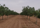 Finca rústica en venda a la Carretera Torralba, Pozuelo de Calatrava, ref.: TR108916 foto