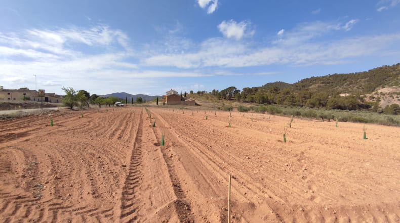 Albacete - Liétor - 30000m2