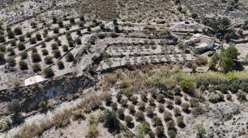 Almería - Purchena - 110000m2