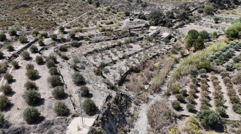 Almería - Purchena - 110000m2