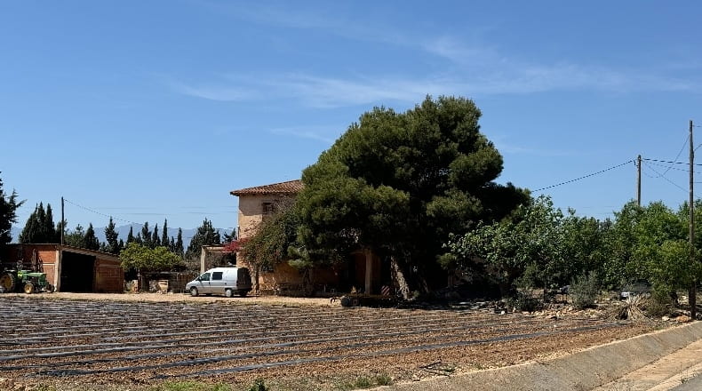 Tarragona - l'Aldea - 14000m2