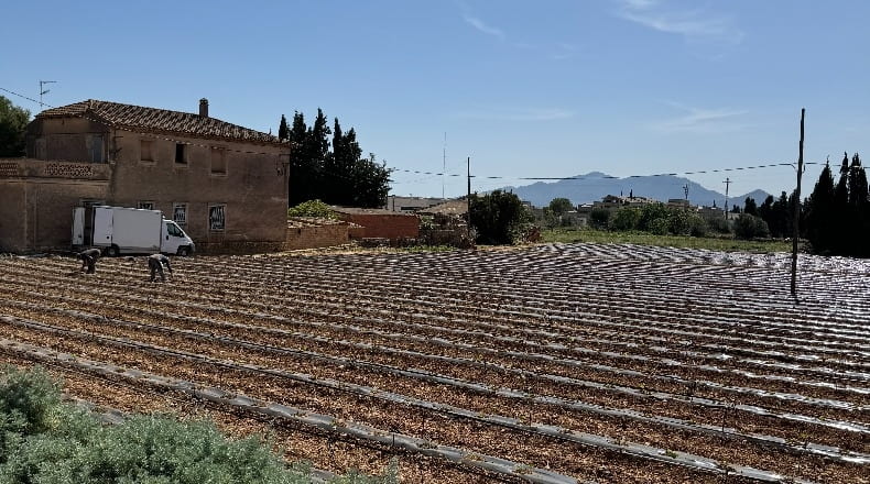 Tarragona - l'Aldea - 14000m2