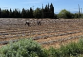 Parcel·la urbanitzable en venda a la N-340a, l'Aldea, ref.: TR109173 foto