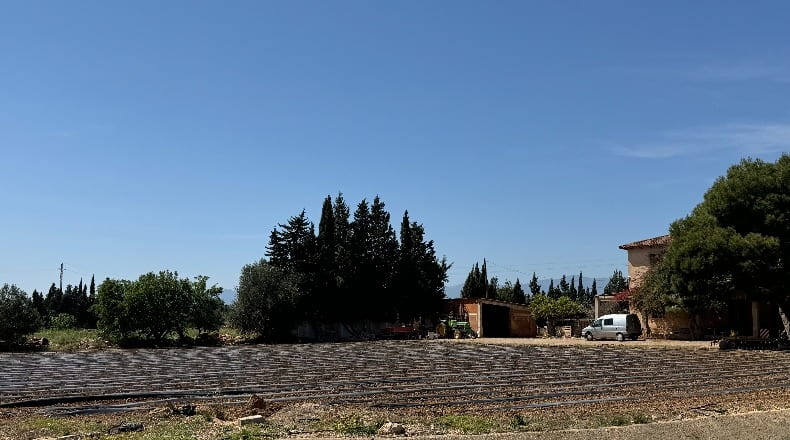 Tarragona - l'Aldea - 14000m2