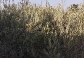Загородный дом с участком на продажу в городе San Isidro Фото