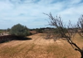 Finca rústica en venda a la Carretera des Ca Marí, Sant Ferran de ses Roques, ref.: TR109257 foto