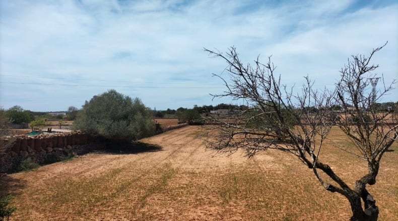 Balearic Islands - San Ferrando - 21500m2