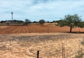 Finca rústica en venda a la Carretera des Ca Marí, Sant Ferran de ses Roques, ref.: TR109257 foto
