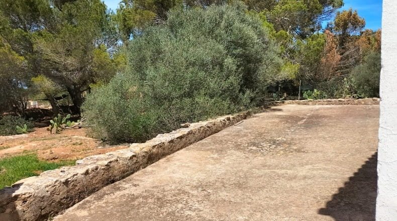 Balearic Islands - San Ferrando - 21500m2