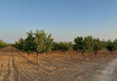 Non-developable land for sale on Hoya de Tebar, Navas de Jorquera, ref: TR109269 photo