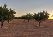 Non-developable land for sale on Hoya de Tebar, Navas de Jorquera, ref: TR109269 photo