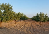 Non-developable land for sale on Hoya de Tebar, Navas de Jorquera, ref: TR109269 photo
