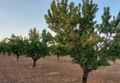 Non-developable land for sale on Hoya de Tebar, Navas de Jorquera, ref: TR109269 photo
