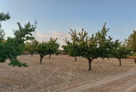 Navas de Jorquera 18902&nbsp;m² 