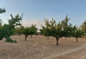 Non-developable land for sale on Hoya de Tebar, Navas de Jorquera, ref: TR109269 photo