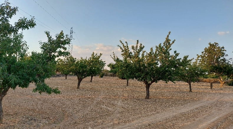 Albacete - Navas de Jorquera - 18902m2