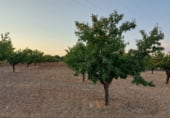 Non-developable land for sale on Hoya de Tebar, Navas de Jorquera, ref: TR109269 photo