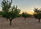 Non-developable land for sale on Hoya de Tebar, Navas de Jorquera, ref: TR109269 photo