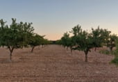 Non-developable land for sale on Hoya de Tebar, Navas de Jorquera, ref: TR109269 photo